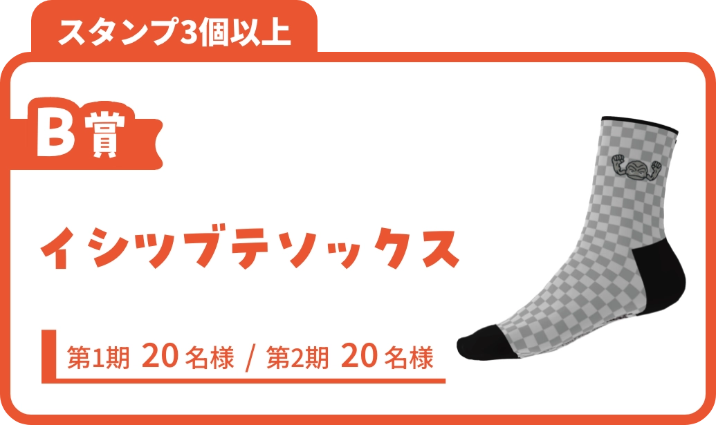 B賞 イシツブテソックス